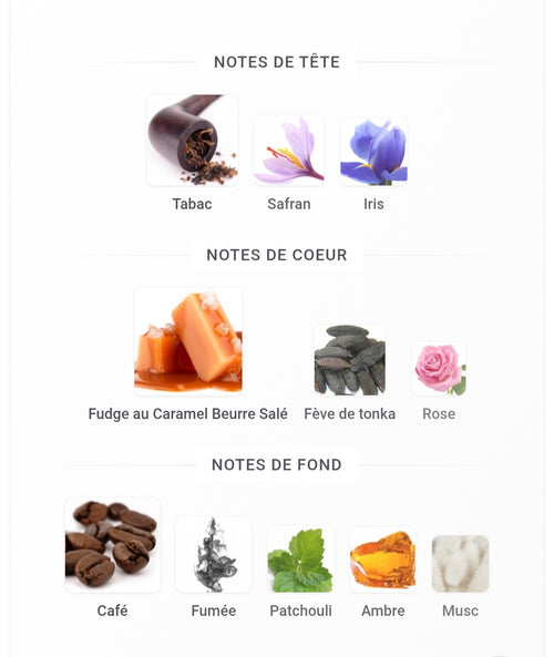 Arabian Tobacco Ibraheem AlQurashi